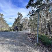 IMG 3023