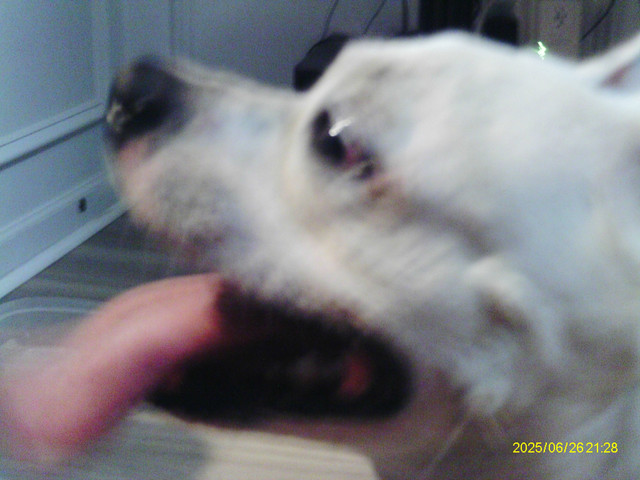 IMAG0010