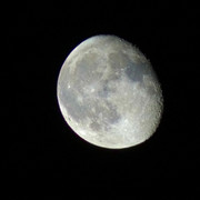 IMGP8642