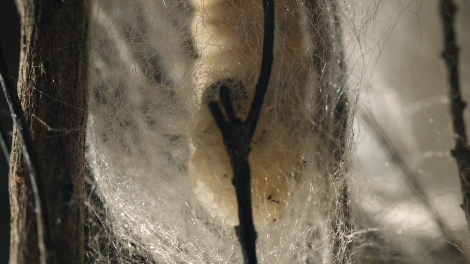 Movie cover image