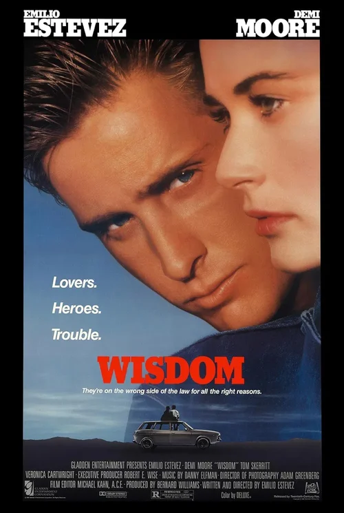 Krucjata Wisdoma / Wisdom (1986) 1080p.WEB-DL.H264.AC3.2.0.BP007 | Lektor PL