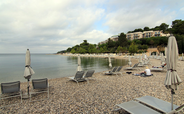 IMG-9532.jpg