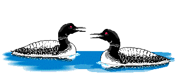 bird 450
