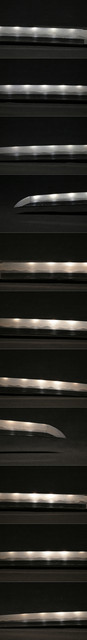 DSC1681.jpg