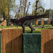 IMG-0763