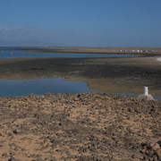 DSCF8358