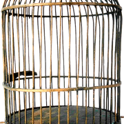 BirdCage