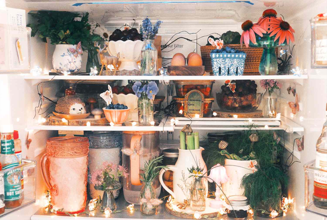 Fridgescaping
