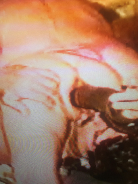 FDDE02-E3-1328-442-C-BFB8-7-DADCDB5-C444