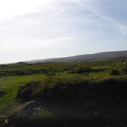 DSCF5521