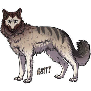 Pet Image