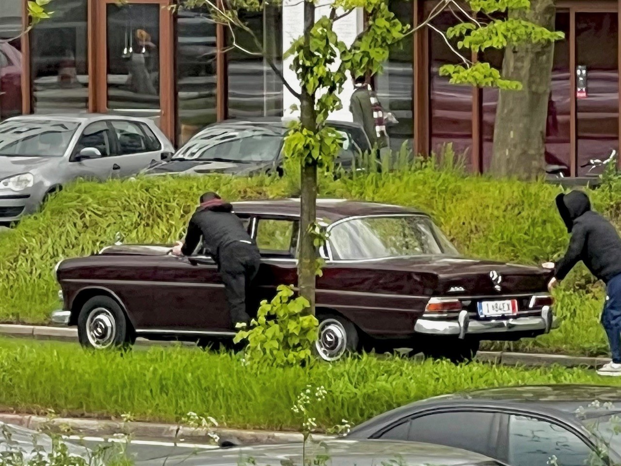 spot202434.jpg