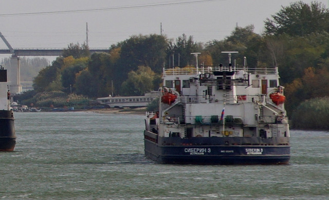 DSC08300.jpg