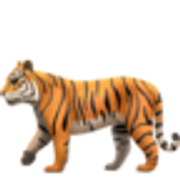 tiger-1f405
