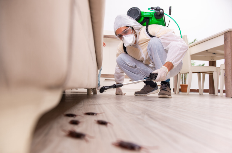 Benefits of Using a Professional Pest Control Company