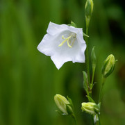 IMGP0710