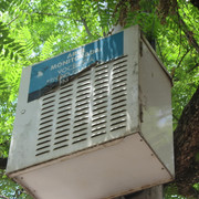 IMG-5175