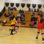IMG-0066