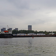 DSC07330