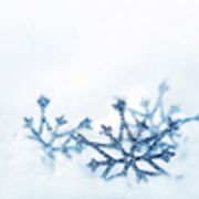snowflakes-by-woolfres-25