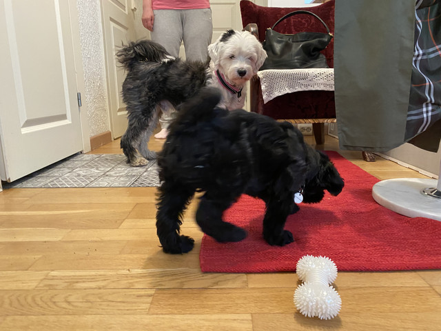 A074-F7-C8-60-F6-4-A40-8-BBF-C420-CD478-