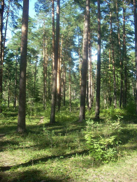 DSCN3069