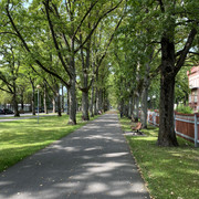 IMG-2500