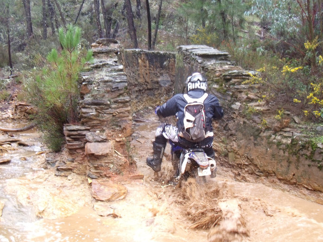 DSCF1212.jpg