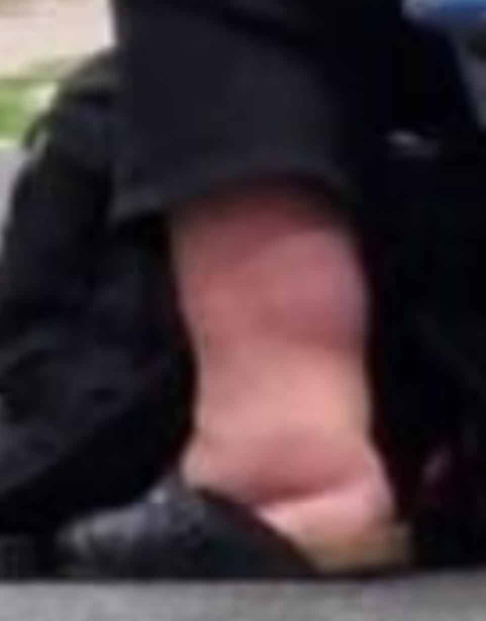 Stampfer.jpg