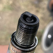 IMG-7832