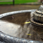 IMGP1676a