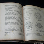 IMG-2133