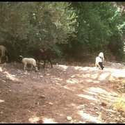 IMG0029