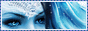 ddreamsbanner