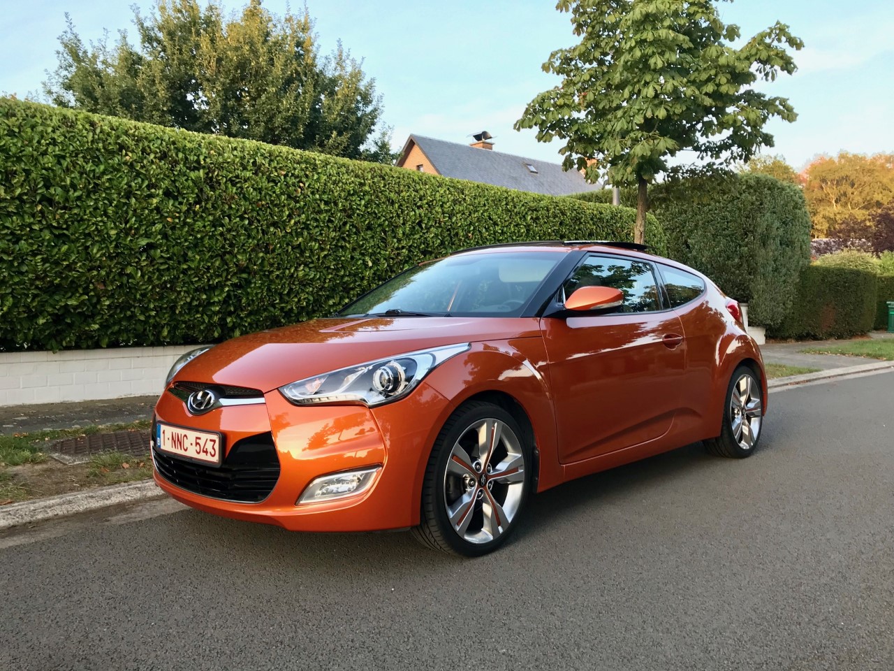 veloster20191.jpg