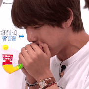 Run BTS Ep. 96 (3)
