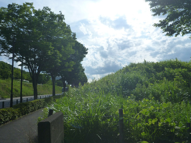 P1330046
