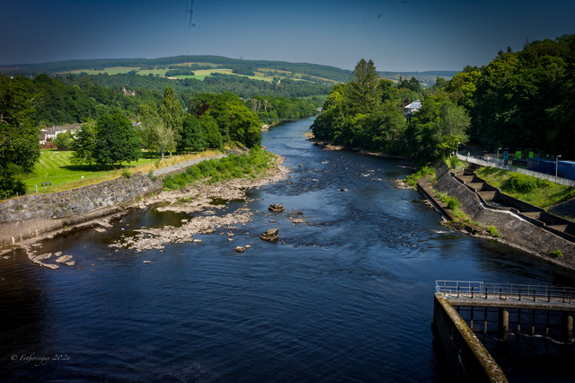 L1461349.jpg