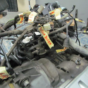 IMG 0412