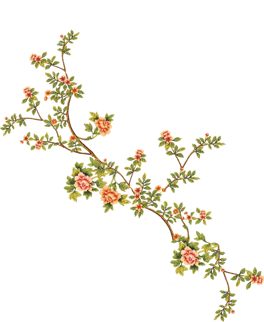 bcabb6cc8682c784c8df6d59b1a5c58a.png