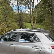 IMG 4657