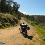 IMG 0020