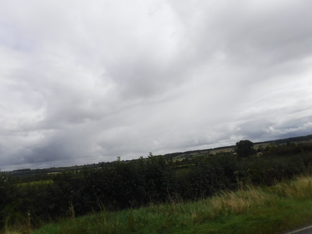 DSCF7622.jpg