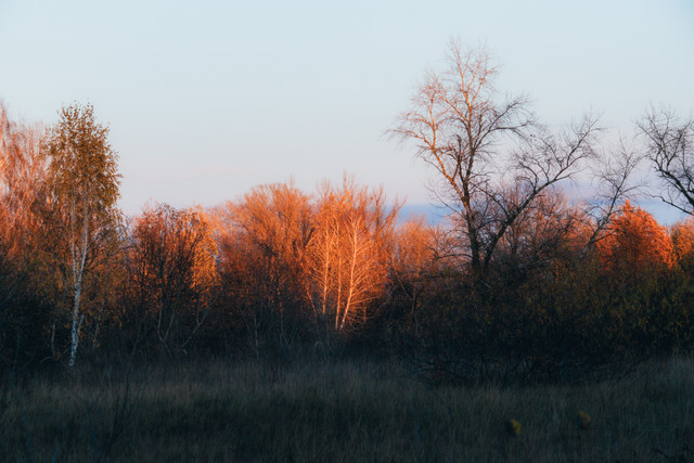 DSCF0985 копия