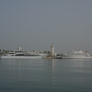 DSCF8902