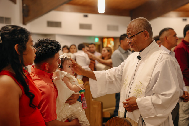 IMG 6658