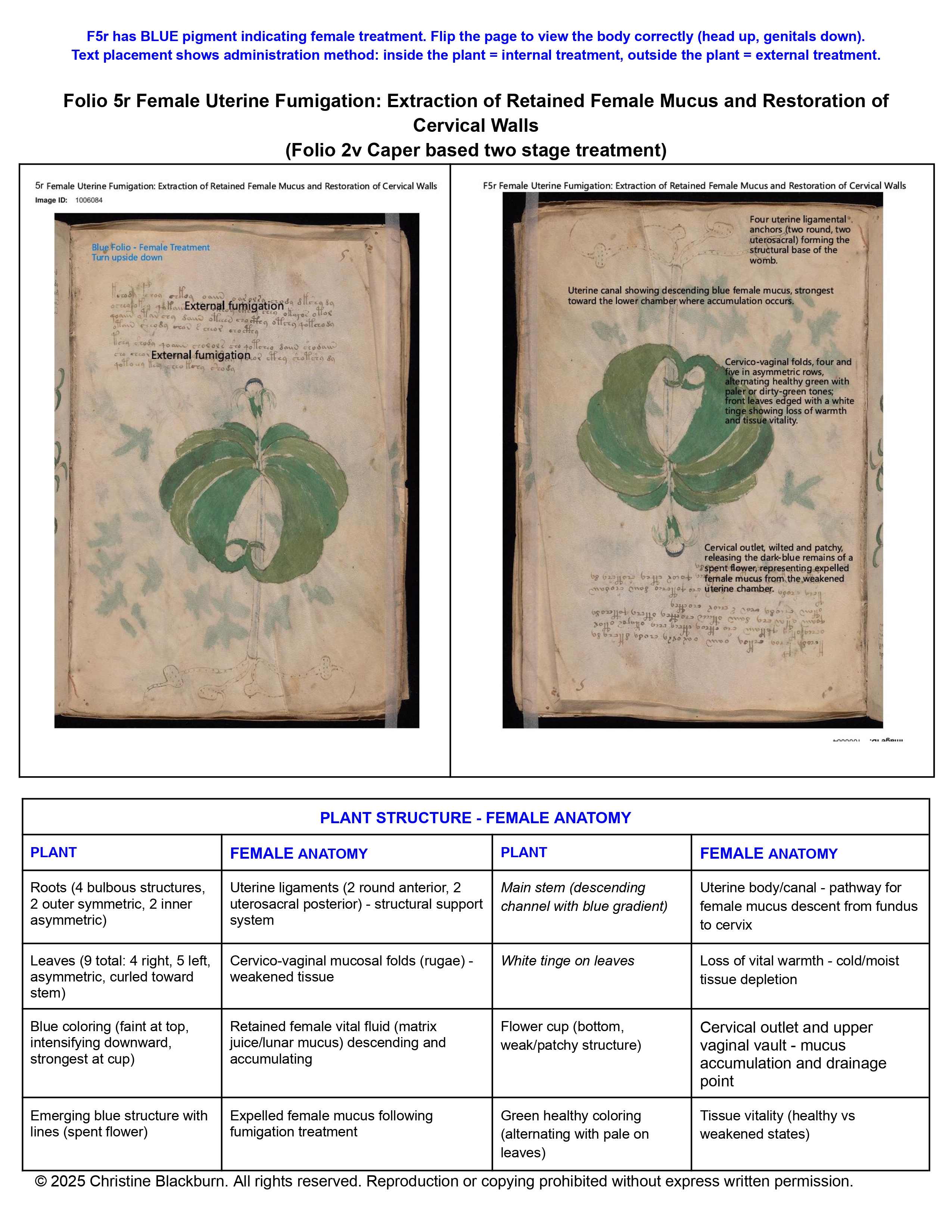 [Image: 4-Folio-5r-Summary-Female-Uterine-Fumiga...ion-of.jpg]