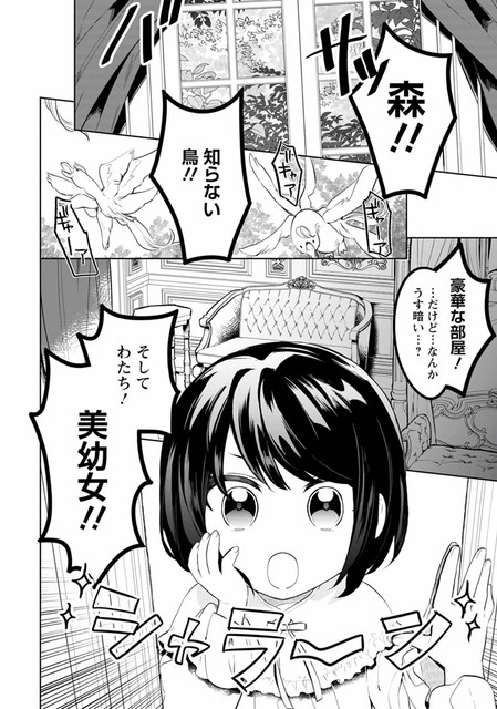 DLRAW-NET-012