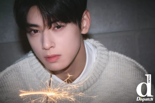 cha eun woo 1301983