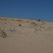 DSCF8557